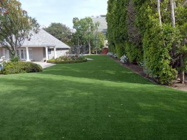 Artificial Grass Photos: Synthetic Pet Grass Barstow California Landscape, Lawns